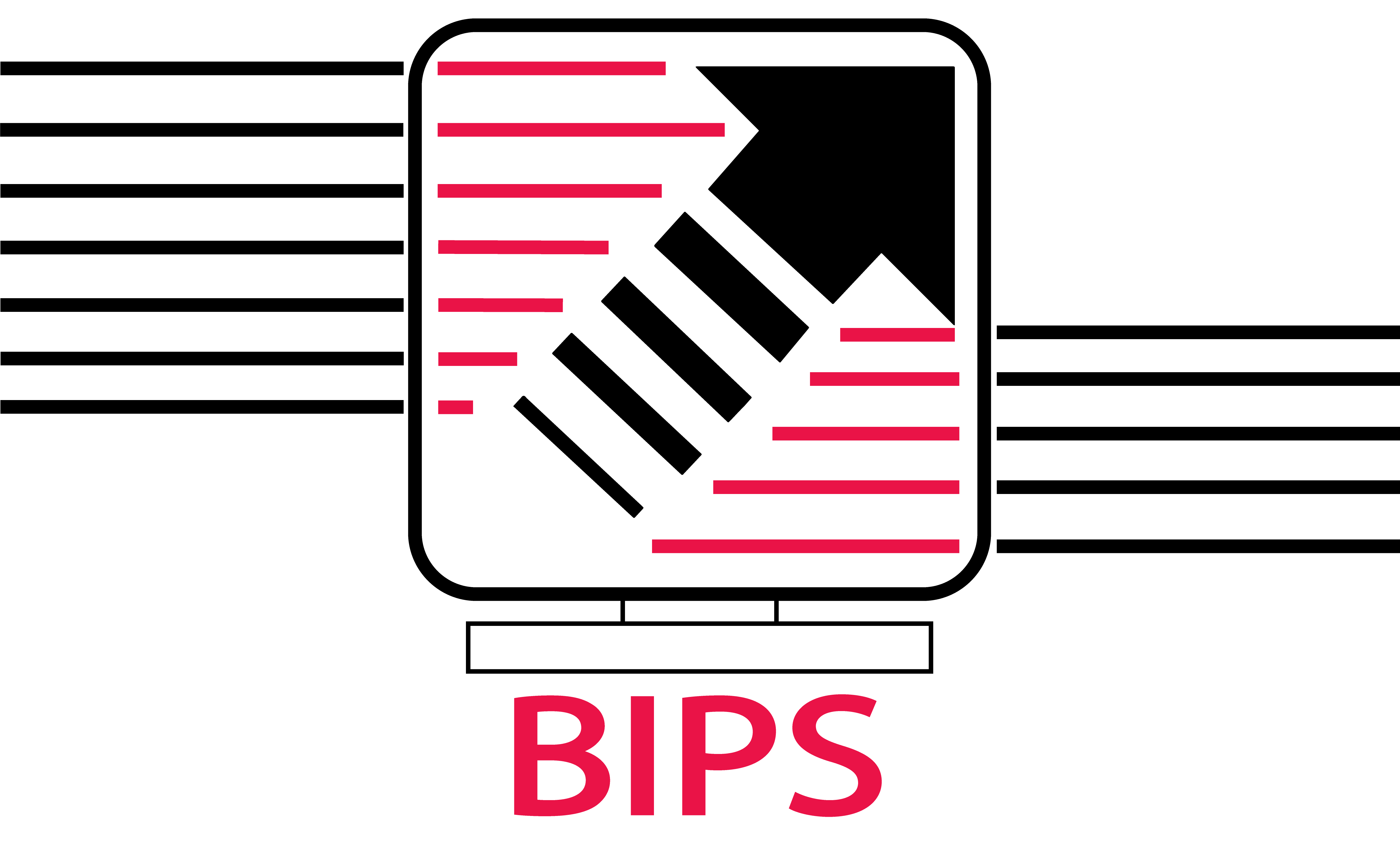 BIPS Systems Limited
